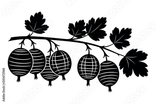 Photos Black silhouette of cape gooseberry branch with fruit and leaves on white backgr
