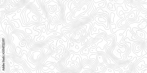 Abstract grid landscape topography white background. white and black relief line wireframe isoline location diagram world map texture design.