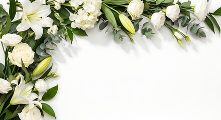 White flowers and green leaves on a transparent background border