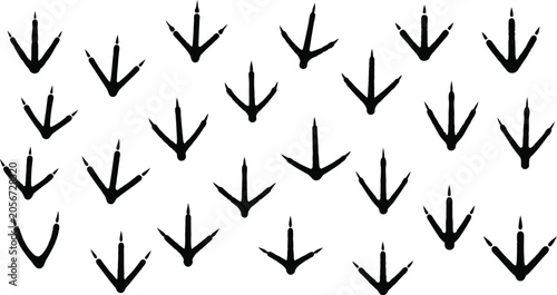 Fotografie Bird footprints pattern black and white vector illustration