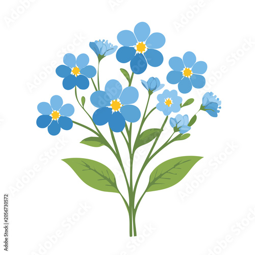 Cornflower flat illustration on transparent background