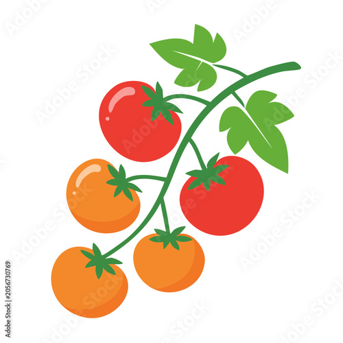 Flat design vector of tomato plant with fruits