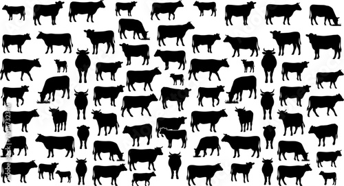Obraz na płótnie Comprehensive Cattle Silhouette Collection Featuring Cows Calves and Bulls for L