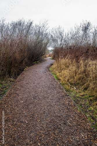 Arboretum Waterfront Trail in Seattle, WA