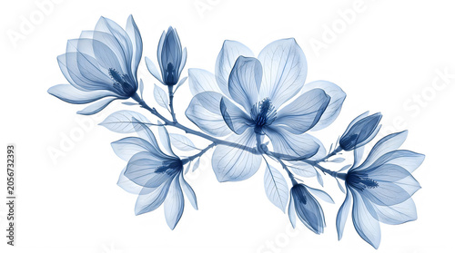 Xray image of blue flowers and leaves on a branch transparent background