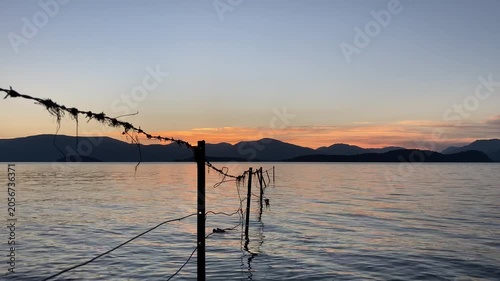 Barbed Wire Fence in Water at Sunset