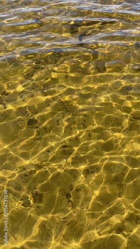 Clear Water Rippling Over Pebbles and Branches