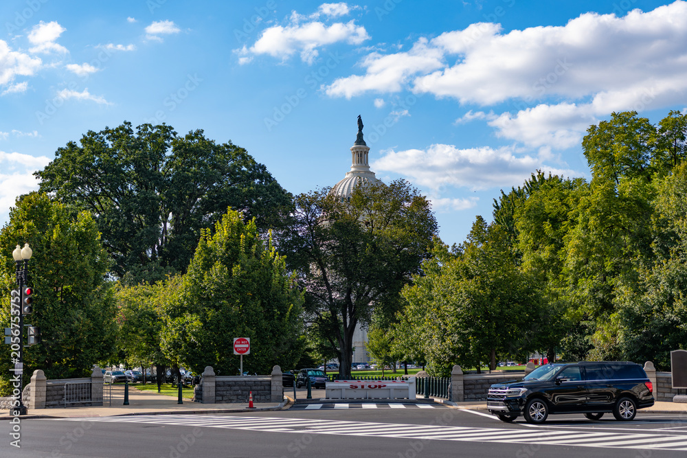 Naklejka premium Washington State Capitol behind green trees. United states Capitol. Capitol building. The Capitol building in Washington. Architecture view on dome with column. Famous Washington DC