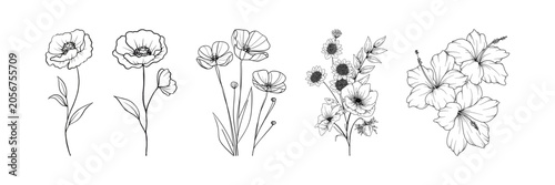Elegant hand drawn vector floral set with detailed line art illustrations of poppy, hibiscus, and daisy flowers Beautiful botanical sketches ideal for wedding stationery, branding, tattoo designs,