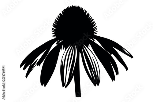 Black silhouette of a coneflower on white background, isolated floral design element
