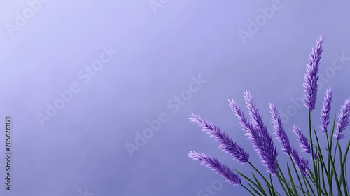 Awesome photo of fragrant purple lavender flowers against a soft textured purple background.