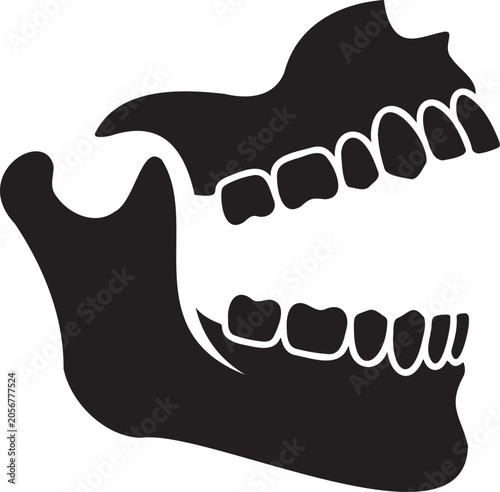 Photography Human jawbone with teeth silhouette.