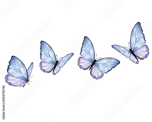 watercolor hand drawn design