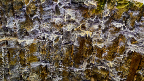Small calcite stalactites, pointed sedimentary formations dripping with water, hang from the ceiling of an old arched bridge. Historic Byrd Creek Dam