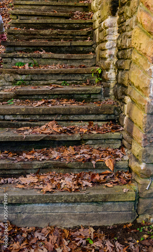 Crossville, Tennessee:  Rough-hewn, weathered stone steps, covered with fallen autumn leaves, creating a characteristic seasonal texture.