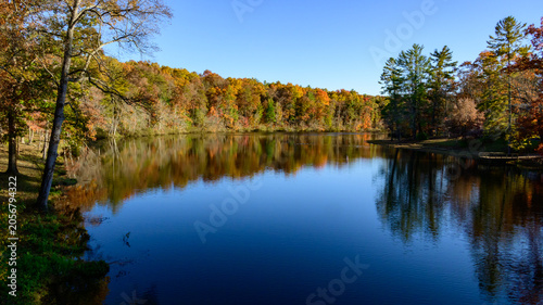Yellow trees in autumn on the shores of the reservoir in Cumberland Mountain State Park in Crossville, Tennessee, USA.