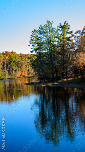 Reflections in the water of yellow trees in autumn on the shore of a reservoir in Cumberland Mountain State Park in Crossville, Tennessee, USA.