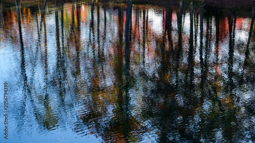 Reflections in the water of yellow trees in autumn on the shore of a reservoir in Cumberland Mountain State Park in Crossville, Tennessee, USA.