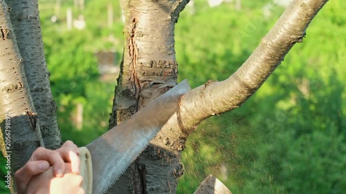 A man cutting a tree branch with a handsaw, close-up