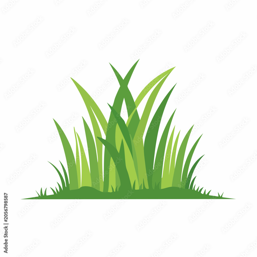 Fototapeta premium Green Grass Illustration