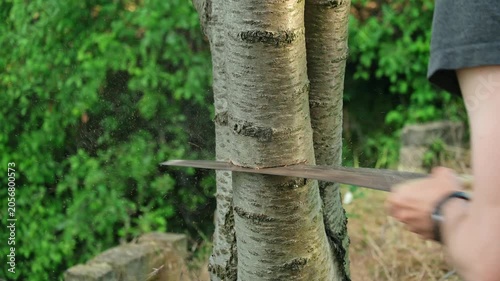 A man cutting a tree branch with a handsaw, close-up