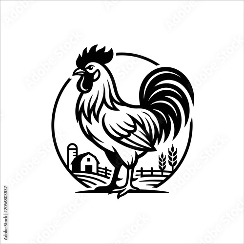 Fotografie Black and white rooster standing proudly.
