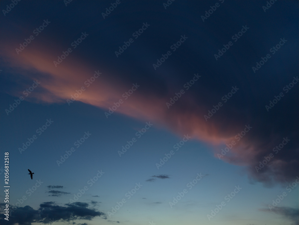 Obraz premium Dramatic Pink Storm Clouds Across a Blue Twilight Sky