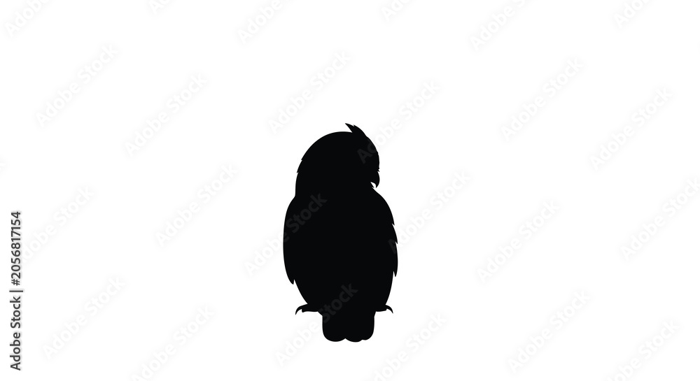 Fototapeta premium Owl Silhouette Against White Background Dark Monochrome Shape