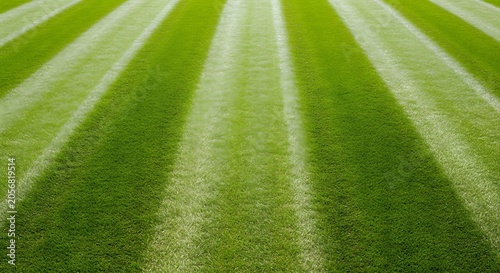 Green Grass Texture and Well Groomed Turf Background