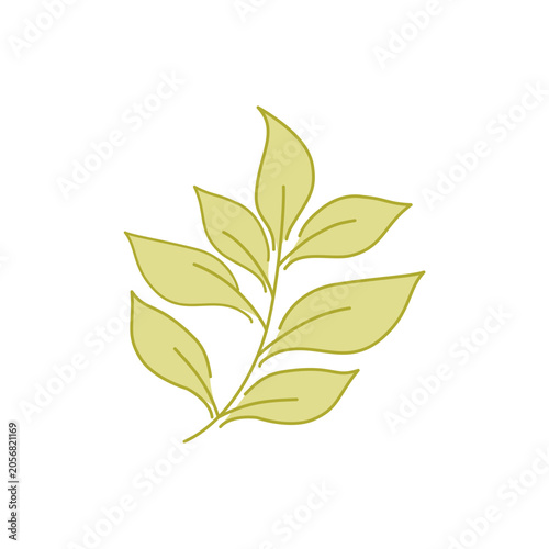 Minimal Leaf and Branch Elements Vector, Elegant Botanical Nature Illustration for Logo, Packaging, Branding, Organic Products and Creative Design Projects