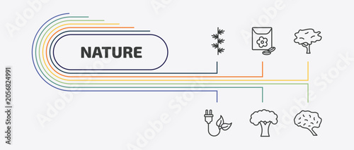 nature outline icon set. thin line flower seeds, red maple tree, eco energy source, beech and more icons. editable vector