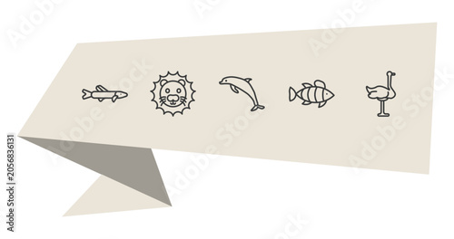 Photography animals outline icon set
