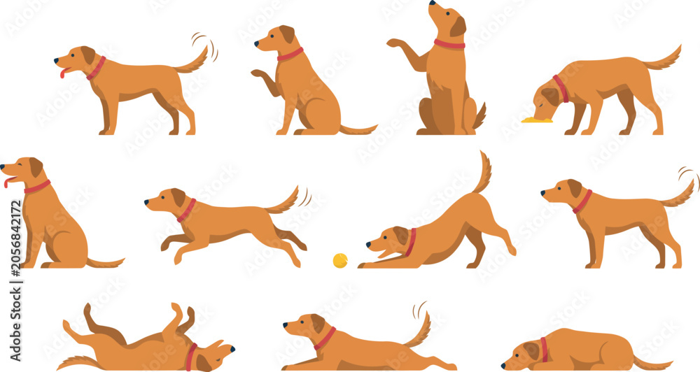 Obraz premium Cute Golden Retriever Dog Character Mascot Set with Various Poses Activities Training and Playful Actions for Pet Care Brand Branding and Illustrations