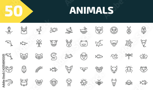 Foto animals outline icon set