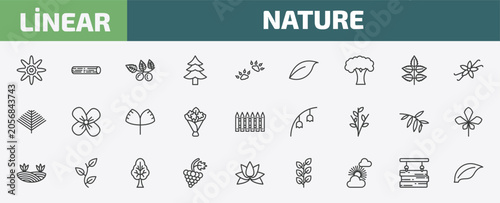 Obraz na płótnie nature outline icon set