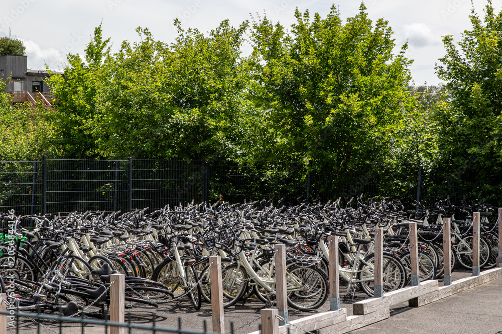 Obraz premium Bicycle Parking Lot with Trees at Center Parcs Villages Nature Paris, France.