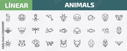 Fotografija animals outline icon set