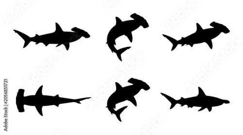 Εκτύπωση καμβά Hammerhead Shark Silhouettes, Ocean Wildlife Vector Icons, Marine Animal Graphic