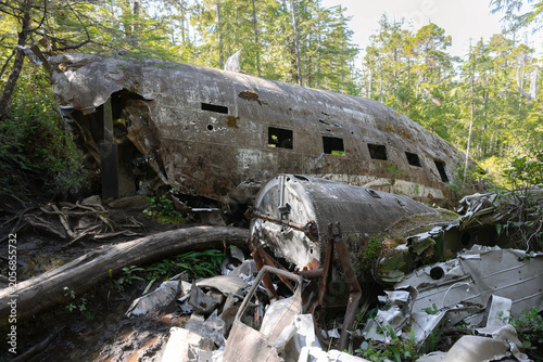 Bomber airplane wreck lying in a lush green mossy temperate forest