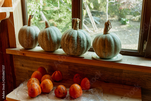 Fotografie Rustic pumpkins and small orange fruits sit on a wooden windowsill, bathed in natural light, capturing autumn harvest decor and warm textures