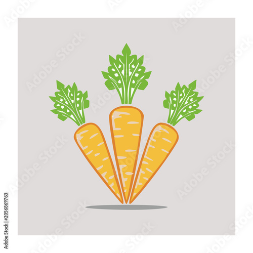 Money plant sprout with coins vector