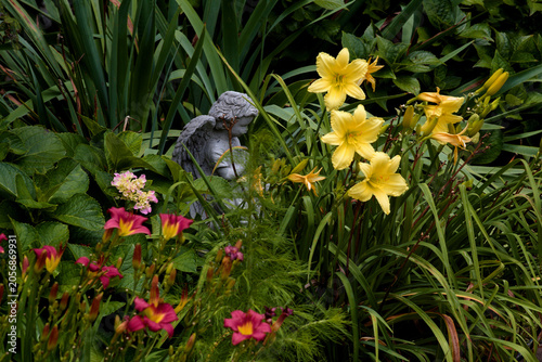 Semi Close Up Of Flowers In A Garden_MG_0293 
