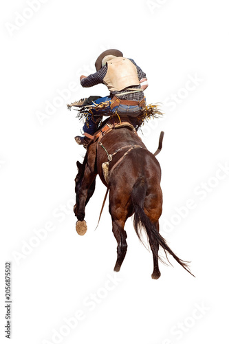 Cowboy Rides Bucking Rodeo Horse