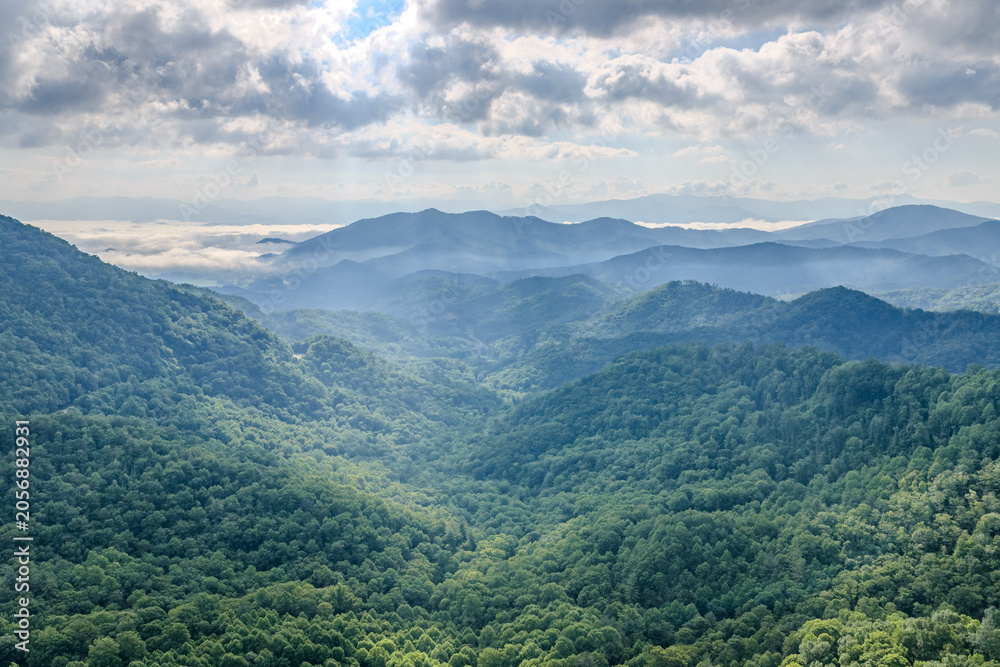 Obraz premium Blue Ridge Mountains