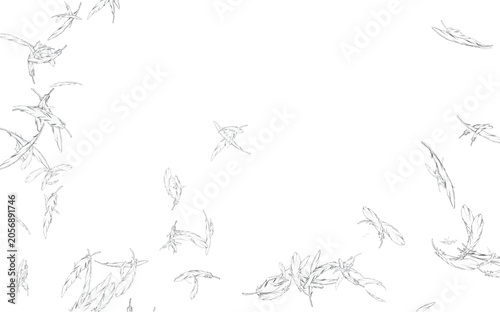 シンプルな鳥の羽のイラスト