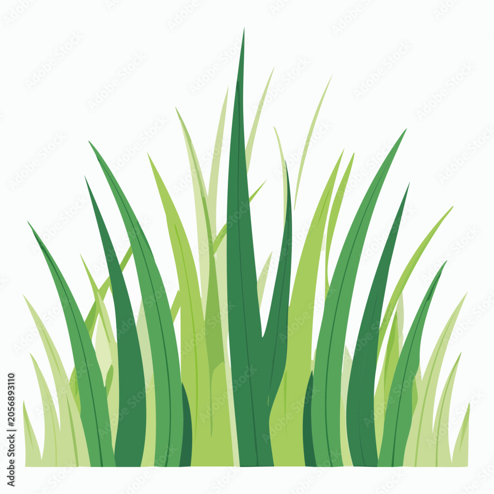 Fototapeta premium Green Grass Blades Illustration