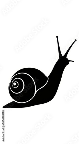 Black Silhouette of a Snail on a White Background.