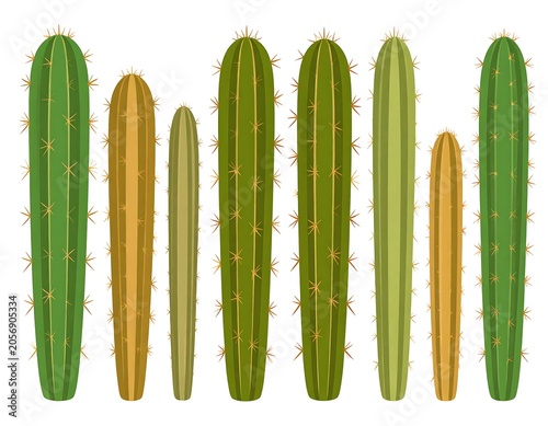 Tall Ribbed Cactus Plants Arranged in Row on Light Background