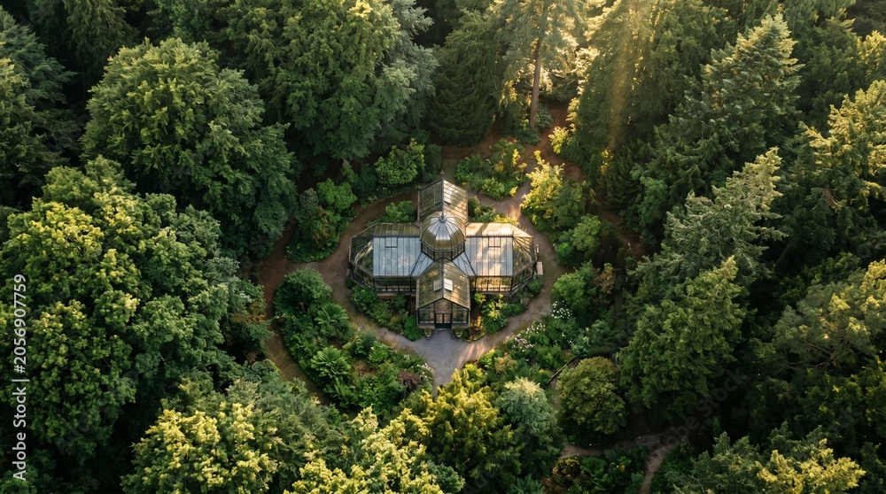 Obraz premium Castle in the Woods from Above – Serene Nature Retreat