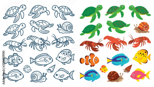 Foto Sea creatures marine animals ocean life set turtles snails lobsters and fish